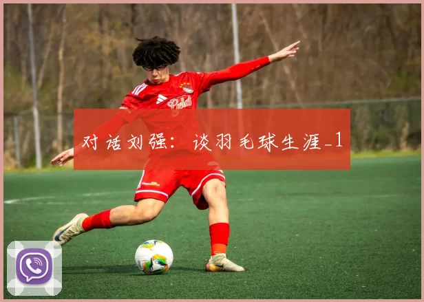 对话刘强：谈羽毛球生涯_1