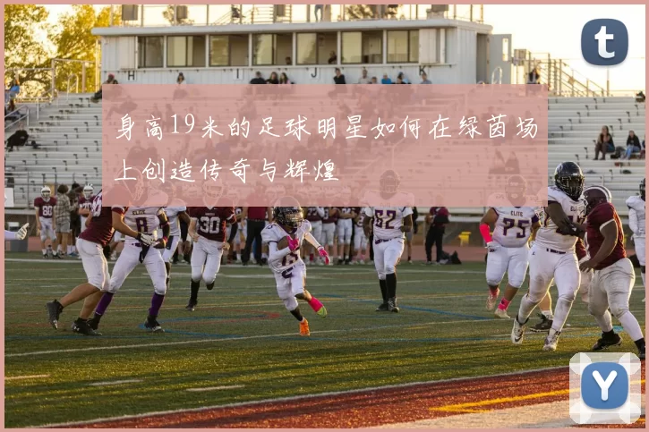 身高19米的足球明星如何在绿茵场上创造传奇与辉煌