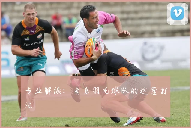 专业解读：南京羽毛球队的运营打法