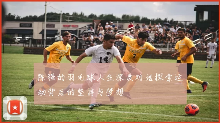 陈强的羽毛球人生深度对话探索运动背后的坚持与梦想