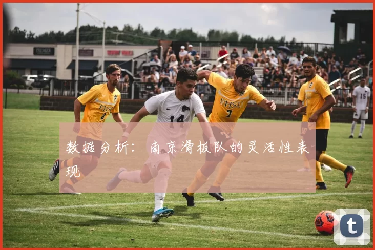 数据分析：南京滑板队的灵活性表现