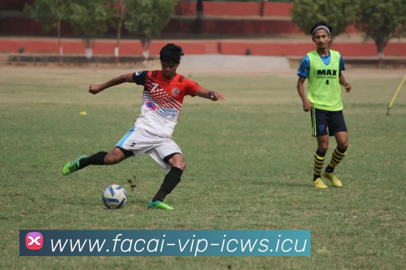 米兰体育平台生态图